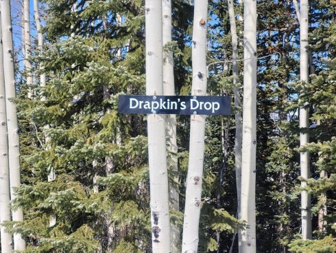 drapkins-drop-sign-erik-obermeyer-1.jpg