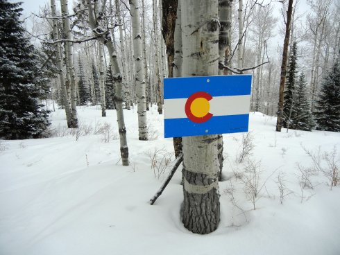 colorado trail (4).JPG