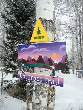colorado trail (1).JPG