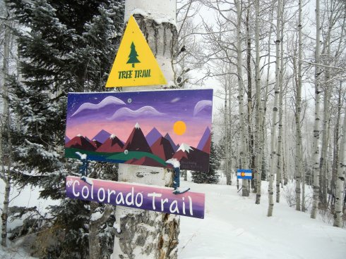 colorado trail (2).JPG
