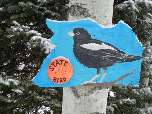 colorado trail (7).JPG