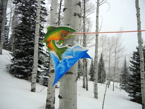 colorado trail (5).JPG